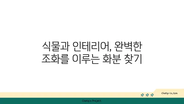 나만의 공간을 아름답게! 🌿 화분 선택 가이드 | 식물, 인테리어, 공기 정화, 베란다 정원, 실내 식물