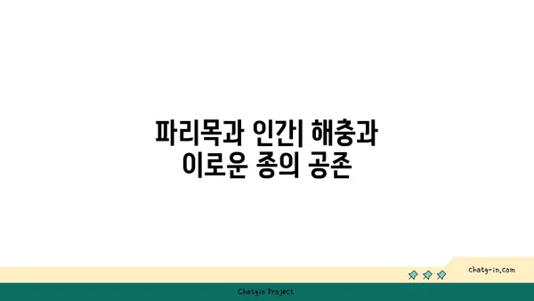 파리목의 비밀| 생태계의 중요한 역할과 다양한 종류 알아보기 | 파리목, 곤충, 생태계, 분류