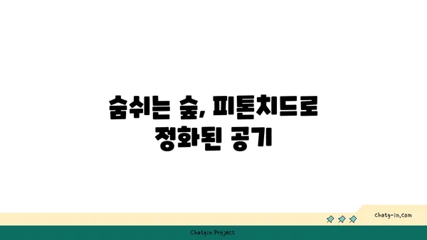 피톤치드의 효능과 활용 | 건강, 숲, 자연, 공기정화, 스트레스 해소