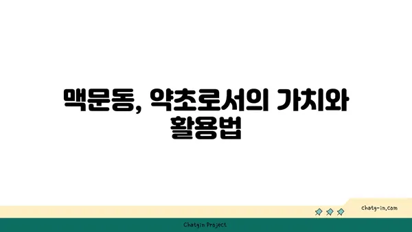 맥문동 효능과 재배 방법| 정원과 건강을 위한 완벽 가이드 | 약초, 뿌리, 꽃, 재배, 관리