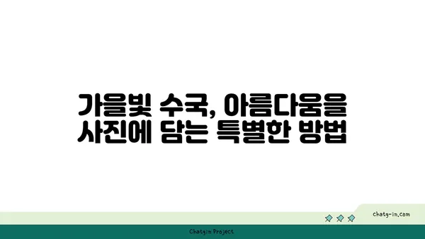 수국과 예술| 가을 풍경을 담는 아름다운 방법 | 수국 사진, 가을 풍경, 예술, 사진 팁