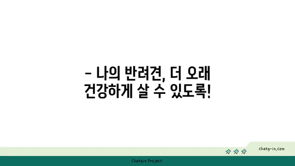 개의 수명, 품종별로 얼마나 될까요? | 개 수명, 평균 수명, 품종별 수명, 수명 연장 팁