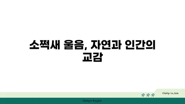 소쩍새 울음소리, 그 의미와 전설 | 한국 전통 문화, 밤의 정령, 민속 이야기