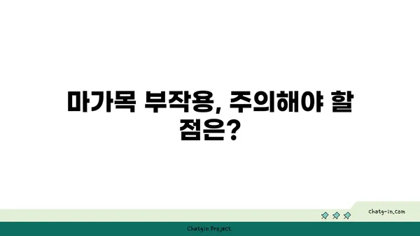 마가목 효능과 부작용 완벽 정리 | 마가목차 효능, 마가목 섭취 방법, 마가목 부작용, 마가목 재배