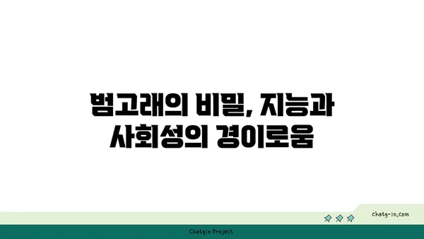 범고래의 비밀| 심해의 거인을 파헤치다 | 고래, 해양 생물, 심해 탐험