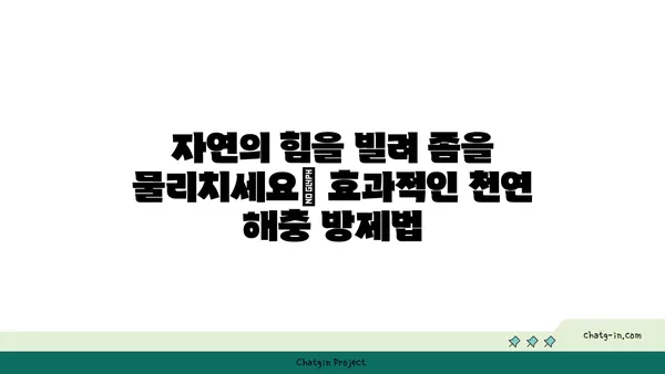 좀으로부터 집을 지키는 자연 친화적인 7가지 방법 | 좀, 천연 해충 방제, 친환경 솔루션