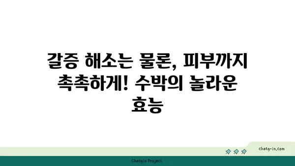 시원한 여름, 수박으로 더위를 날려보세요! | 수박 효능, 수박 레시피, 여름 제철 과일