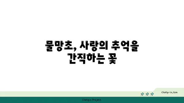 물망초 꽃말과 전설| 잊지 못할 사랑의 의미 | 꽃말, 전설, 의미, 사랑, 선물, 기념