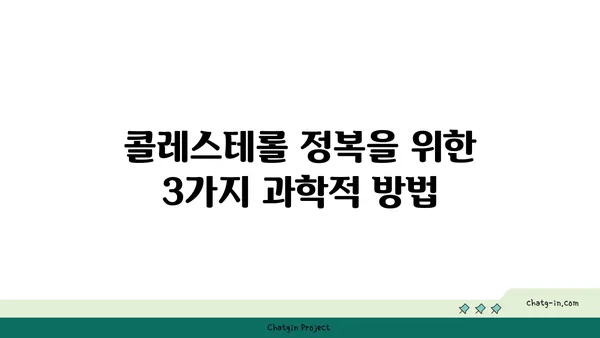 콜레스테롤 정복| 과학적으로 입증된 3가지 방법 | 건강, 고지혈증, 식단 관리, 운동, 생활 습관