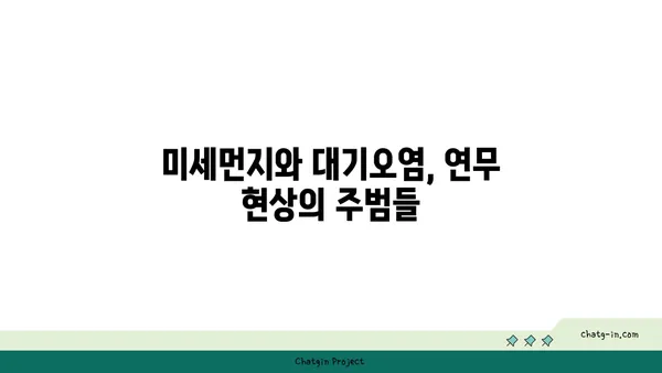 연무 현상| 원인 분석 및 대처 방안 | 대기오염, 미세먼지, 환경 문제