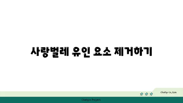 사랑벌레로부터 나를 지켜줄 5가지 방법 | 사랑벌레, 해충, 방충, 예방, 천연