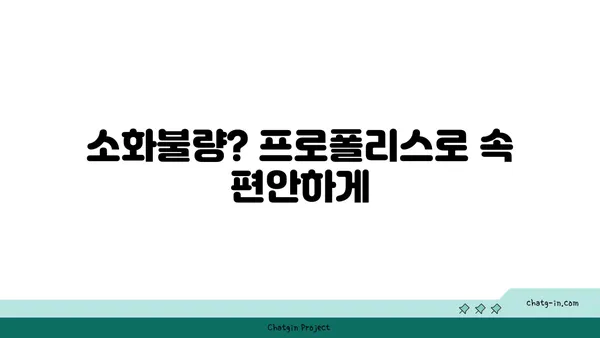 프로폴리스의 위장 건강| 소화 장애 완화 | 프로폴리스 효능, 위장 건강 개선, 소화불량 해결