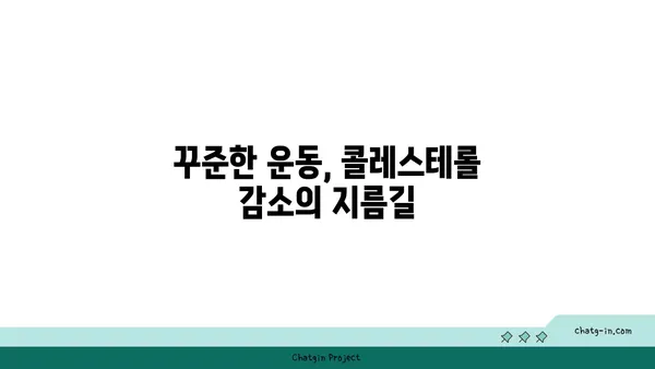 콜레스테롤 감소를 위한 필수 3가지 전략 | 건강 식단, 운동, 생활 습관 변화