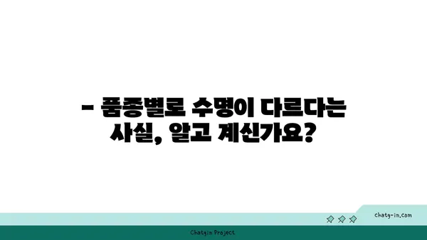 개의 수명, 품종별로 얼마나 될까요? | 개 수명, 평균 수명, 품종별 수명, 수명 연장 팁