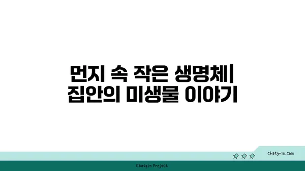 좀 생태계| 집안 속 미지의 세계 탐험 | 곤충, 거미, 진드기, 생물 다양성, 집안 환경