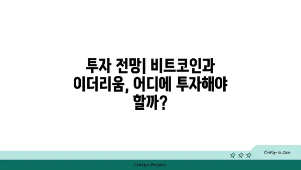 비트코인 vs 이더리움| 시장 경쟁과 공존의 미래 | 암호화폐, 블록체인, 투자 전망