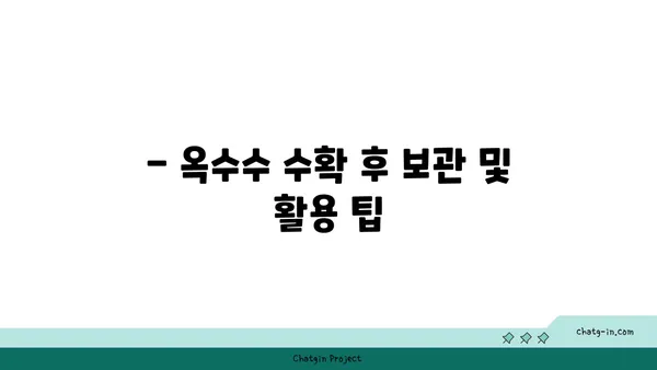 옥수수 재배 성공을 위한 완벽 가이드 | 옥수수 심는 시기, 품종, 관리법, 수확 팁