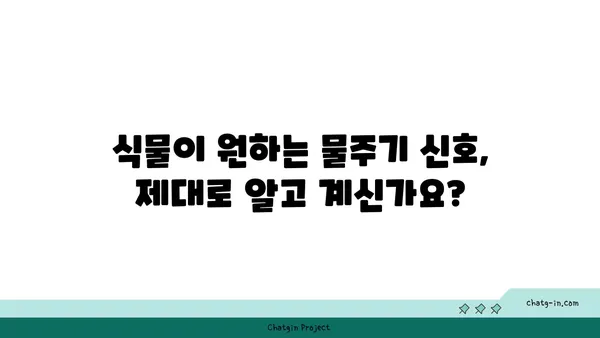 식물도 살리는 물주기 마스터하기| 꿀팁 7가지 | 식물, 물주기, 관리, 성장, 건강