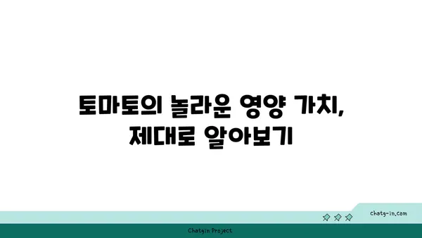 토마토의 놀라운 효능과 맛있는 레시피| 영양, 건강, 요리 팁 총정리 | 토마토, 건강 식품, 레시피, 요리