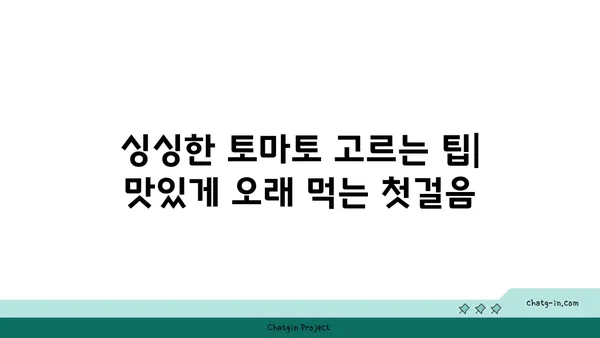 토마토 오래 보관하는 방법| 싱싱함을 유지하는 5가지 비법 | 토마토 보관, 토마토 저장, 토마토 관리, 싱싱한 토마토