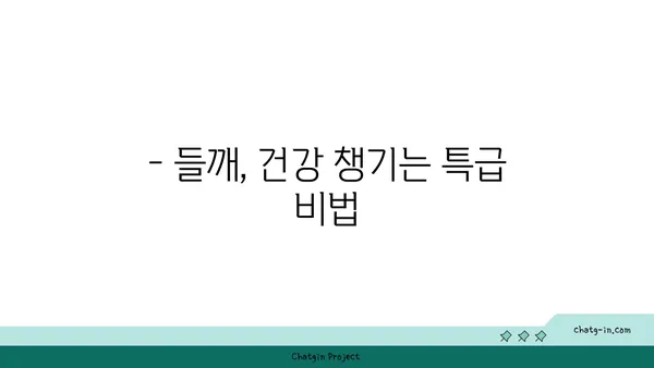 들깨, 맛있게 먹는 방법 5가지 | 들깨 효능, 요리 레시피, 궁합