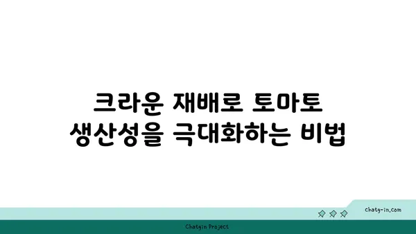 제한된 공간에서 토마토 생산성을 높이는 크라운 재배 방법 | 토마토 크라운 재배, 좁은 공간, 수직 재배, 생산성 향상