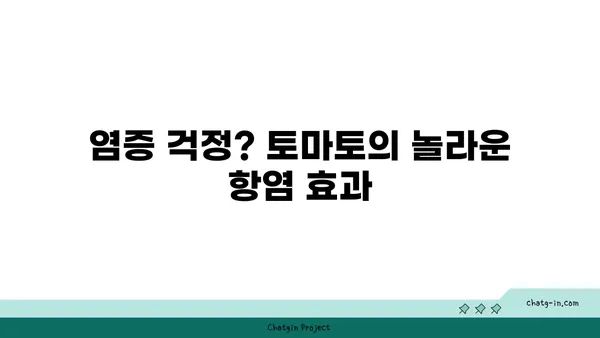 염증을 진정시키는 자연의 선물, 토마토| 염증과 싸우는 자연의 진통제 | 항염증 효과, 건강 식품, 토마토 효능