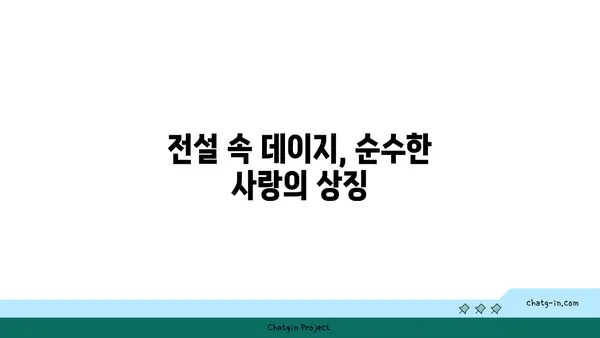 데이지 꽃말과 전설| 사랑, 순수, 희망을 담은 아름다운 꽃 이야기 | 꽃말, 전설, 의미, 종류, 기르기