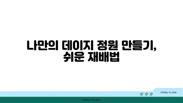 데이지 꽃말과 전설| 사랑, 순수, 희망을 담은 아름다운 꽃 이야기 | 꽃말, 전설, 의미, 종류, 기르기