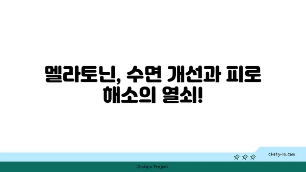 멜라토닌| 피로 극복, 활력 충전! 숙면으로 되찾는 당신의 에너지 | 수면 개선, 피로 해소, 멜라토닌 효능, 멜라토닌 복용법