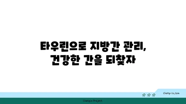 지방간 관리에 타우린이 도움이 되는 이유 | 타우린 효능, 지방간 개선, 건강 관리