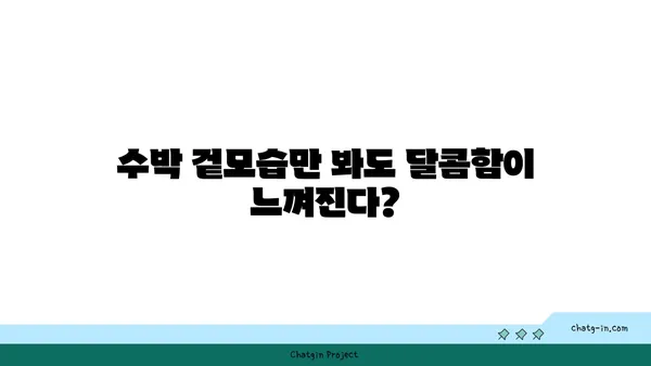 꿀팁 대방출! 맛있는 수박 고르는 비법 | 수박 고르는 법, 달콤한 수박, 수박 꿀팁