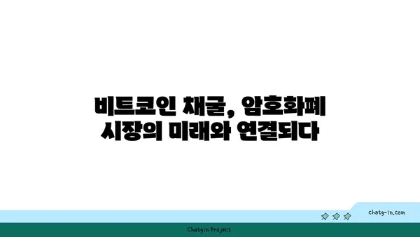 비트코인 채굴, 돈벌이 vs 위험| 알아야 할 모든 것 | 비트코인 채굴, 채굴 장비, 수익률, 전력 소비, 투자, 암호화폐