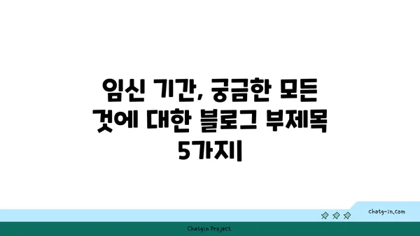 임신 기간, 궁금한 모든 것| 주별 변화, 증상, 건강 관리 가이드 | 임신, 태아 성장, 출산 준비