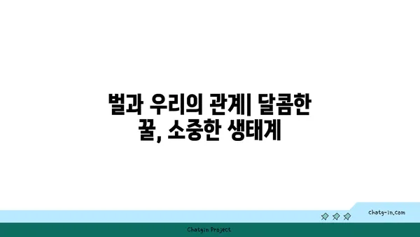 벌에 대한 모든 것| 종류, 생태, 그리고 우리와의 관계 | 벌, 꿀벌, 말벌, 곤충, 생태계, 환경