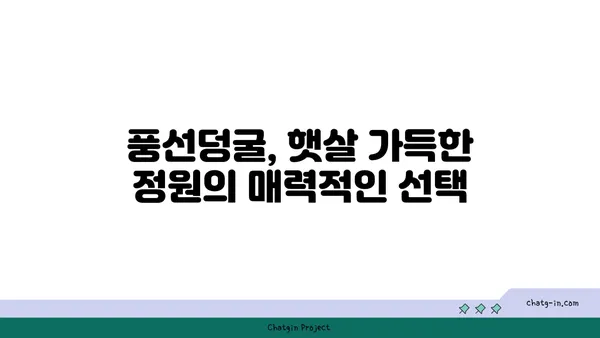 풍선덩굴 키우기| 햇살 가득한 정원을 위한 완벽한 가이드 | 풍선덩굴, 재배, 관리, 번식, 종류