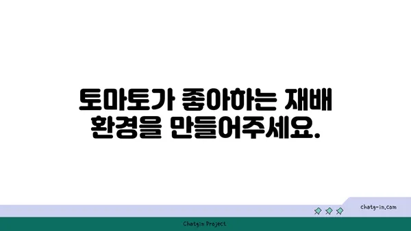 정원의 스타| 토마토 재배 완벽 가이드 | 토마토 품종, 재배 환경, 관리 팁