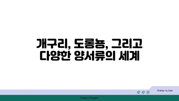 양서류의 놀라운 변신| 개구리, 도롱뇽, 그리고 그들의 삶 | 양서류, 생태, 진화, 특징, 보호