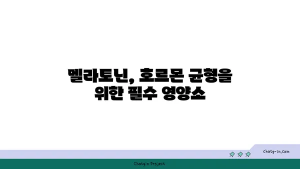 멜라토닌과 호르몬 균형| 내분비계 건강을 위한 솔루션 | 멜라토닌, 호르몬, 균형, 건강, 내분비계, 팁