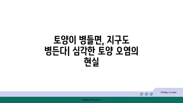 지구의 토양| 생명의 토대 - 우리 발 아래 숨겨진 놀라운 세계 | 토양의 중요성, 토양 오염, 지속가능한 토양 관리