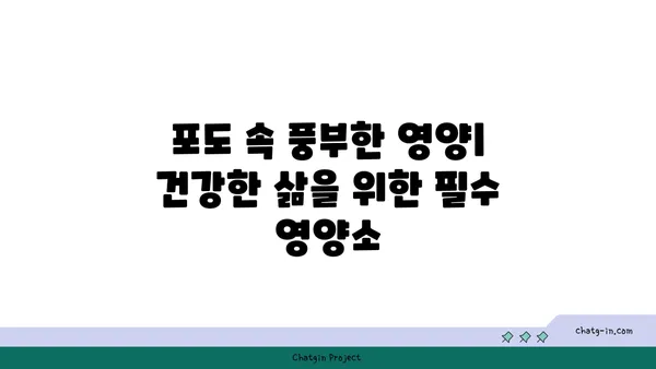 포도의 놀라운 효능과 영양 정보| 건강을 위한 달콤한 선택 | 포도, 건강, 효능, 영양, 섭취, 레드 와인