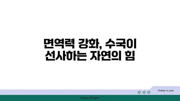 수국, 가을 건강을 위한 특별한 처방 | 수국의 의학적 용도, 가을 건강, 면역력 강화, 자연 치유