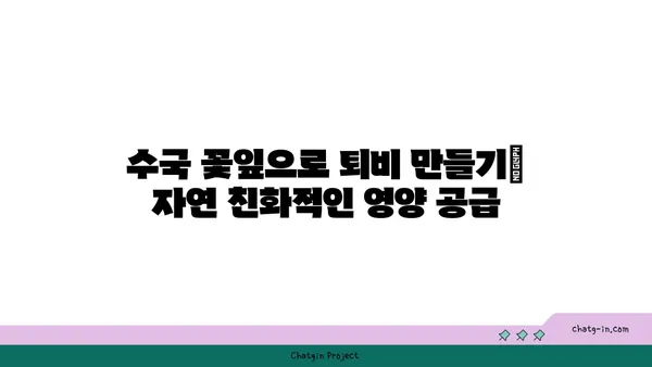 수국의 꽃잎 뿌리기| 가을 정원에 마법을 더하다 | 수국 꽃잎, 가을 정원, 퇴비, 영양 공급, 자연 친화적 정원 관리