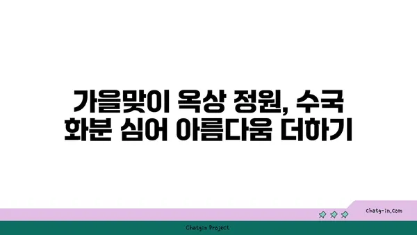 옥상 정원 가을 분위기 연출| 수국 화분 심기 가이드 | 옥상 정원, 가을, 수국, 화분 심기, 정원 가꾸기