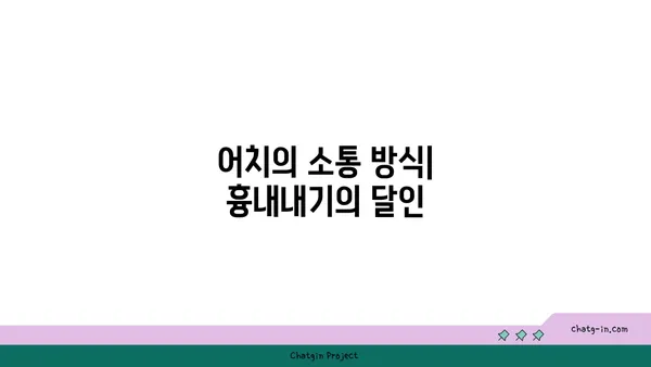 어치의 비밀| 흥미로운 생태와 행동 | 조류 관찰, 야생 동물, 어치 특징