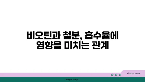 비오틴과 철분의 상호 작용| 섭취 시 주의해야 할 점 | 건강, 영양, 보충제, 흡수율