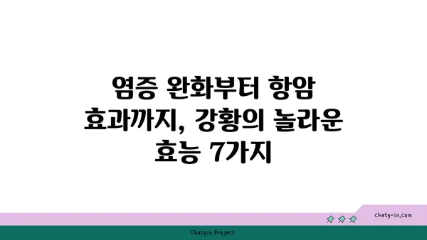 강황의 놀라운 효능 7가지| 건강, 미용, 요리까지 | 강황 효능, 강황 레시피, 커큐민