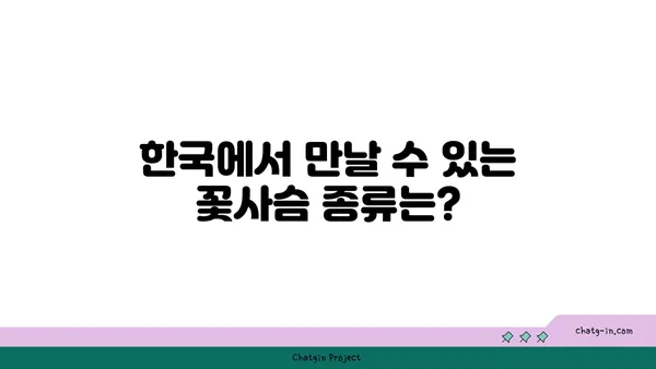 꽃사슴의 매력에 빠지다| 한국에서 만날 수 있는 꽃사슴 종류와 서식지 | 꽃사슴, 한국, 서식지, 종류, 정보