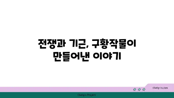 전쟁과 기근을 이겨낸 힘, 구황작물의 역사와 종류 | 한국, 역사, 식량, 재난