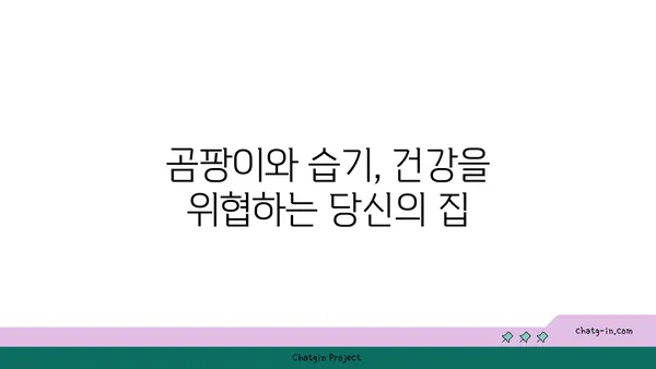 집안 좀, 건강과 행복을 위협하다| 당신의 삶에 미치는 영향 | 곰팡이, 습기, 건강 문제, 해결책